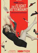 Watch The Flight Attendant Putlocker
