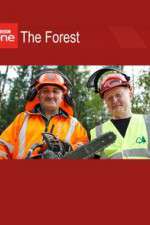 Watch The Forest Putlocker