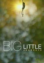 Watch Big Little Journeys Putlocker