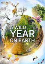 Watch A Wild Year on Earth Putlocker