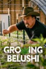 Watch Growing Belushi Putlocker