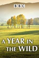 Watch A Year in the Wild Putlocker