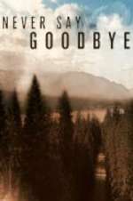 Watch Never Say Goodbye Putlocker