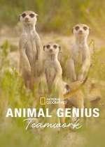Watch Animal Genius Putlocker