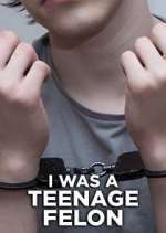 Watch I Was a Teenage Felon Putlocker
