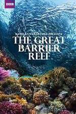 Watch Great Barrier Reef with David Attenborough Putlocker