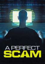 Watch A Perfect Scam Putlocker