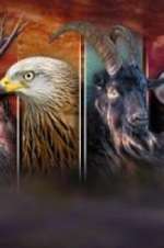 Watch Wales: Land of the Wild Putlocker