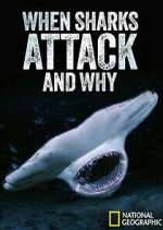 Watch When Sharks Attack... And Why Putlocker