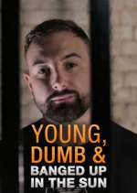 Watch Young Dumb & Banged Up in the Sun Putlocker