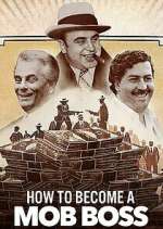 Watch How to Become a Mob Boss Putlocker