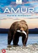 Watch Amur Asia's Amazon Putlocker