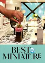 Watch Best in Miniature Putlocker
