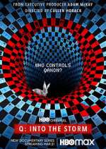 Watch Q: Into the Storm Putlocker