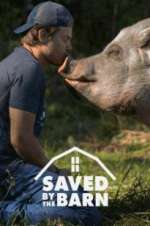 Watch Saved by the Barn Putlocker