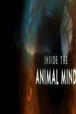 Watch Inside the Animal Mind Putlocker