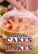 Watch Amazing Cakes & Bakes Putlocker