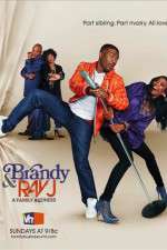 Watch Brandy and Ray J: A Family Business Putlocker