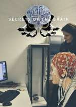 Watch Secrets of the Brain Putlocker