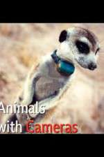 Watch Animals with Cameras Putlocker