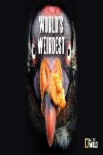 Watch National Geographic Worlds weirdest Putlocker