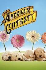 Watch America's Cutest Putlocker