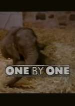Watch One by One Putlocker
