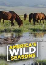 Watch America's Wild Seasons Putlocker