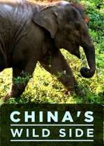 Watch China's Wild Side Putlocker