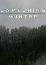 Watch Capturing Winter Putlocker