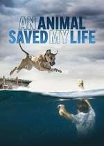 Watch An Animal Saved My Life Putlocker
