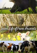 Watch Secret Life of Farm Animals Putlocker