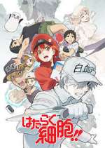 Watch Cells at Work! Putlocker