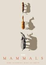 Watch Mammals Putlocker