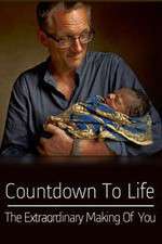 Watch Countdown to Life The Extraordinary Making of You Putlocker