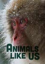Watch Animals Like Us Putlocker