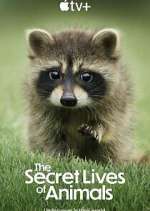 Watch The Secret Lives of Animals Putlocker