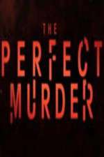 Watch The Perfect Murder Putlocker