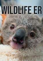 Watch Wildlife ER Putlocker