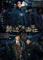 Watch Winter Begonia Putlocker