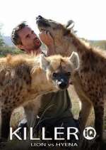 Watch Killer IQ: Lion vs. Hyena Putlocker
