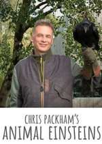 Watch Chris Packham's Animal Einsteins Putlocker