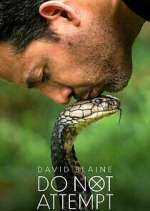 Watch David Blaine Do Not Attempt Putlocker