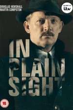 Watch In Plain Sight Putlocker