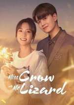 Watch Miss Crow with Mr. Lizard Putlocker