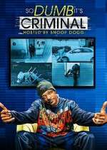 Watch So Dumb It's Criminal Putlocker