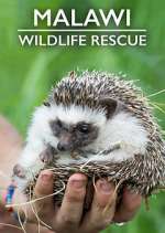 Watch Malawi Wildlife Rescue Putlocker