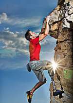 Watch Fight to Survive Putlocker
