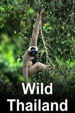 Watch Wild Thailand Putlocker