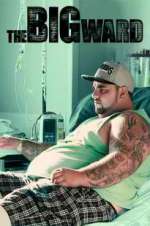 Watch The Big Ward Putlocker